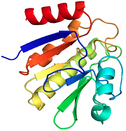 Dengue antiviral research within academic and private R&D institutions