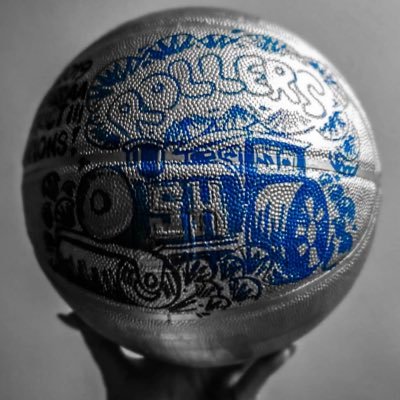 Steel-High Roller Hoops Profile