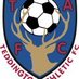 TAFC - Teddington Athletic Football Club (@teddingtonafc) Twitter profile photo TAFC - Teddington Athletic Football Club (@teddingtonafc) Twitter profile photo