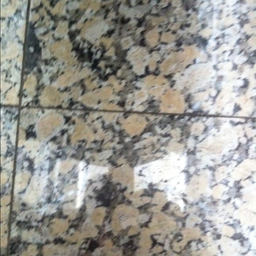 lijfie's profile picture. eigenzinnig eigenwijs