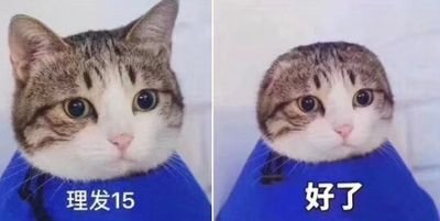 喜欢钱