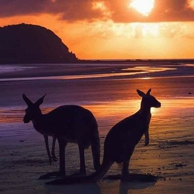 lpmfvg's profile picture. 