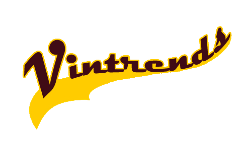 A Vintrends é um grupo de TCC do marketing 1º semestre de 2011 da ETEC MARTIN LUTHER KING. Siga para ficarem atualizados sobre todas as nossas novidades!