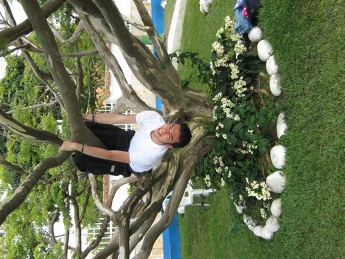 takumompi's profile picture. Innovar en la forma de ver las cosas/Sueño despierto/Analista de la realidad/Publicista del sentimiento/Marketing mix: Alma, (de)Mente, Cuerpo y Corazón!