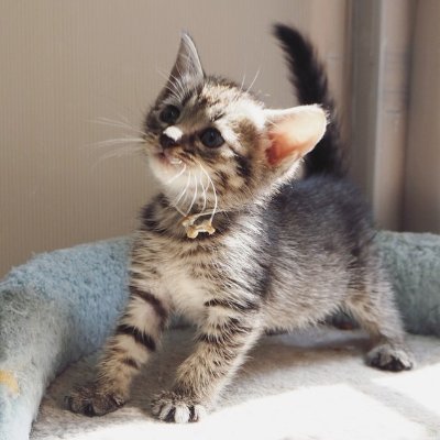 こんにちわ(^_-)-☆ 楽しいことや面白いことダイエットなど発信していきまーす♪ 時間の大切さの名言も好きなので発信していきまーす🌸相互フォロー大歓迎でーす(^^)/ 頑張ってツイートするので宜しくお願いします♪ダイエットとストレッチも頑張ります🤗👍