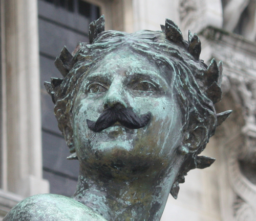 hmphpout's profile picture. lover of small furry friends and science.