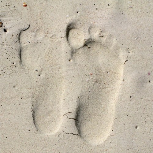 sandar77's profile picture. Diplomada en protocolo y asesoría en imagen. Apasionada de las compras, de la moda, de los libros y del cine.