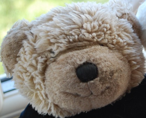 The name's Bear, Vinny Bear, top secret agent with M.I.80.  Short, dark and handsome, I'm as brave and charismatic as they come.