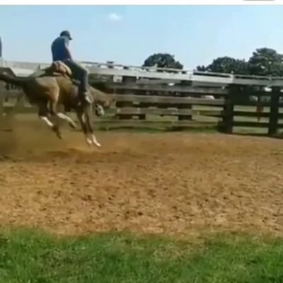 PinheirosDavid's profile picture. 