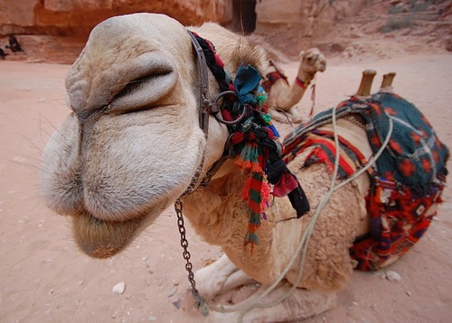 mgutten's profile picture. Int'l Dev, Philanthropy, Research, Emerging market entrepreneurship, M&E, etc. Views my own.