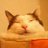 minna16's profile image