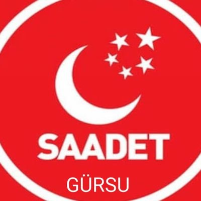 saadet partisi gürsu