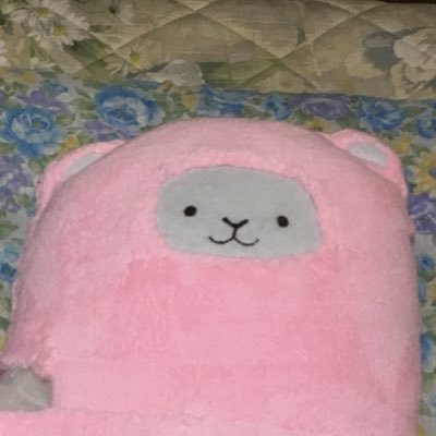 のなかのと@来歴不明はそよ風のためにまだ死ねないさんのプロフィール画像