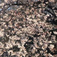 まな取引専用 (@mana_a3_24) 's Twitter Profile