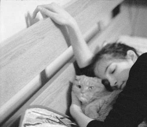 marvel_flan's profile picture. born to create DRAMA