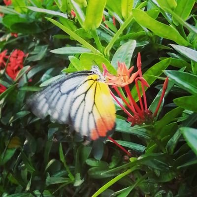 winwin_makoto's profile picture. Shop Online!!
เพลิดเพลินกับสินค้าของแท้ใน JD Central ช้อปเลย
https://t.co/UdDwpJRLF0