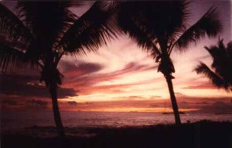 KonaReef's profile picture. 