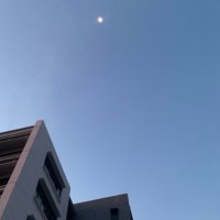 🫀 (@tong_fha) 's Twitter Profile