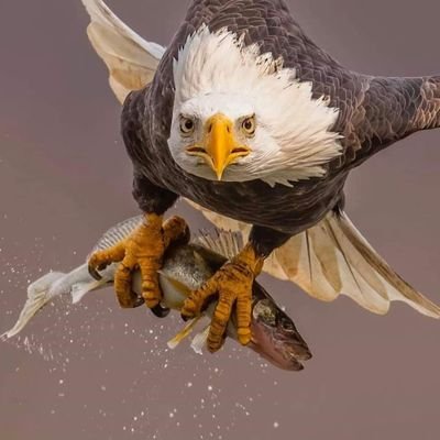 PATRICK19774957's profile picture. Being social