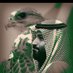 #Abdullah ✌️🇸🇦✌️ (@Ss99Mbs) Twitter profile photo