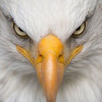 FkkFlix (@fkkflix) 's Twitter Profile