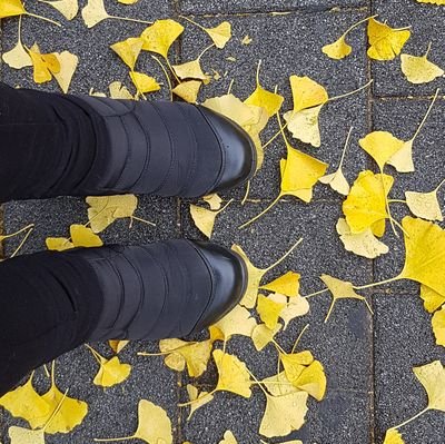 bookapp50off's profile picture. 