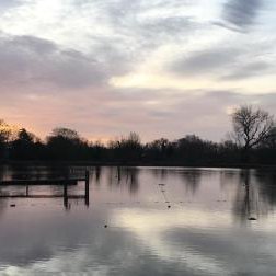 Hampstead Ponds - unique and special. Save them!