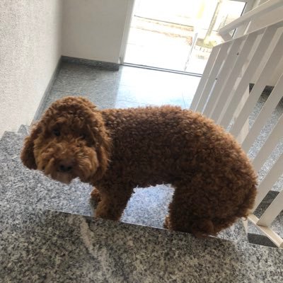 XaeaGafam's profile picture. 