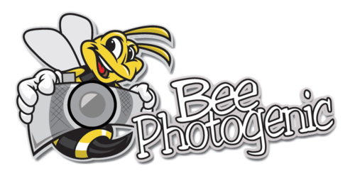 BeePhotogenic's profile picture. BEEPHOTOGENIC!