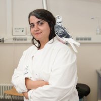 Neslihan Wittek (@taubenmaedel) 's Twitter Profile Photo Neslihan Wittek (@taubenmaedel) 's Twitter Profile Photo