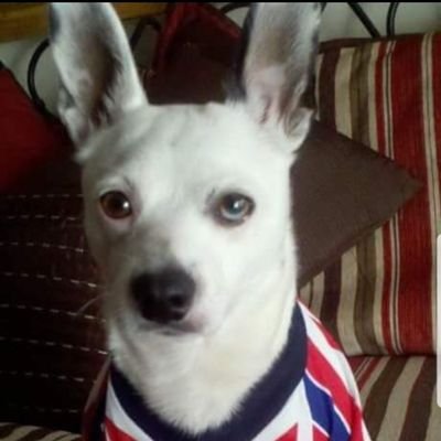 antexe's profile picture. 