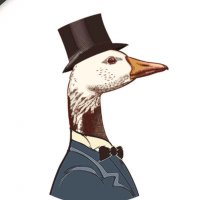 The Goose (@thegooseyyc) 's Twitter Profile Photo