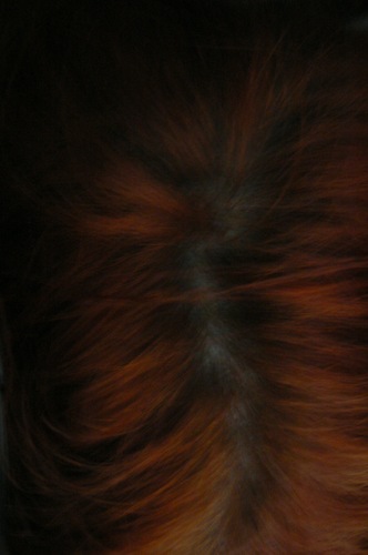 AidlinnNess's profile picture. artiste, sculpteur, performer, plasticienne