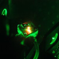 Gaeta Quantum and Nonlinear Photonics Lab(@gaetalab) 's Twitter Profile Photo
