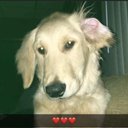 anthony LaRose - @anthonyLaRose18 - Twitter