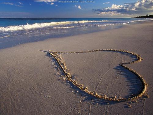 Spontaneous.Loses patience easily and will not take crap.If in a bad mood stay FAR away.Loves deeply but at times will not show it.Silly, fun and daring.