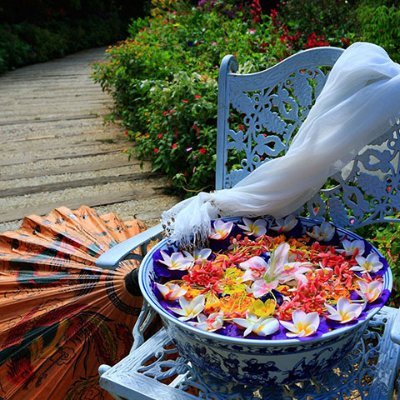 @sonyasgarden