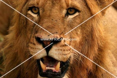 champion7886's profile picture. 