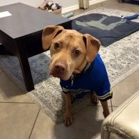 SlabHappySportsCards (@slabhappysc) 's Twitter Profile