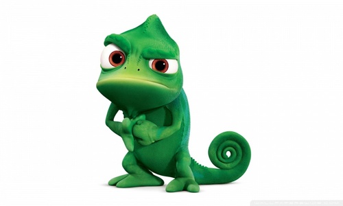 Futuro Contador :)