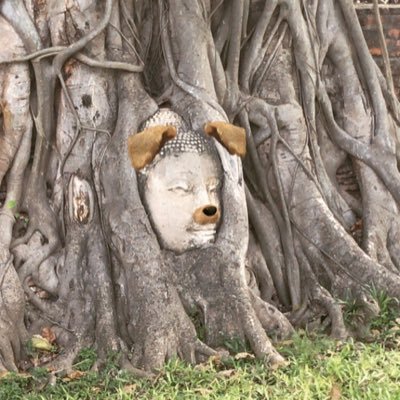 mi_si_heise's profile picture. 南国産、南国育、平成生まれ。 南の島在住会社員。ルーツは外国