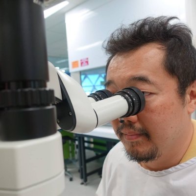 Makoto Kamei Profile