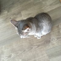 十字屋書房 (@jiyujya) 's Twitter Profile
