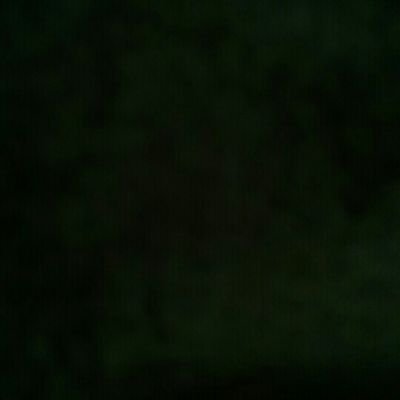 CrcYo2lcIxPDX9l's profile picture. .......