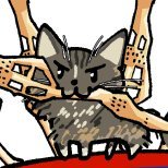 sefiroto's profile picture. 渾身猫
アイコンは @hinapecco さんから