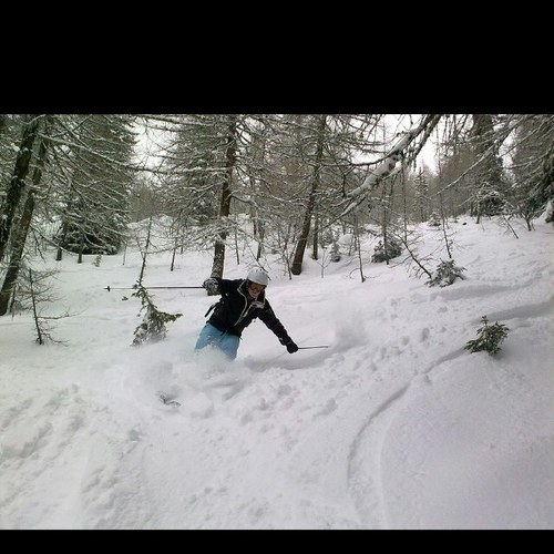 dewitteparel's profile picture. 