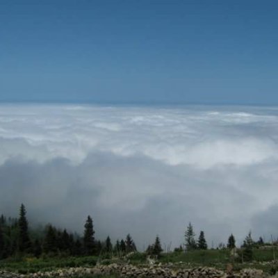 CuneytTURHAN28's profile picture. Zamanın Gençliğin Boş Vaktin Kıymetıni Bilin