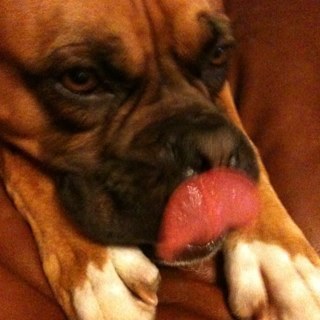 ten424's profile picture. 