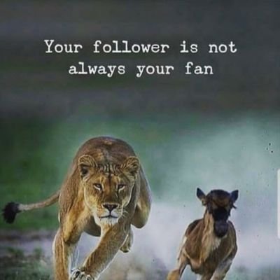 Zaheer19865359's profile picture. 