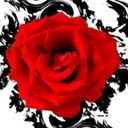 Jaci Lee Hobbs - @jaci_hobbs11 - Twitter